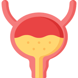 Bladder disease specialist 