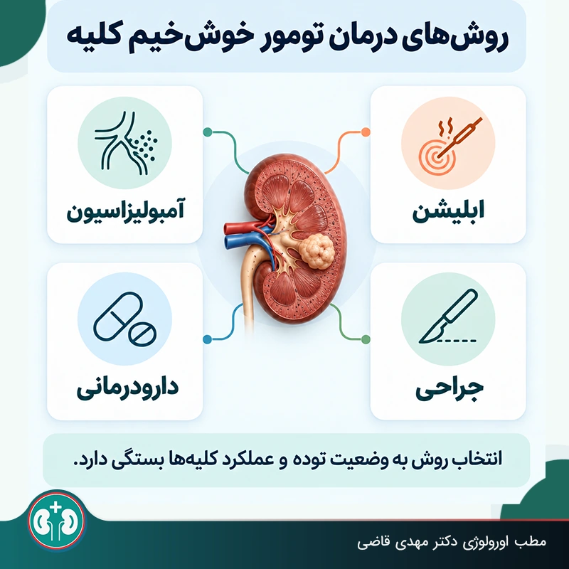 روش‌های درمان تومور کلیه، شامل جراحی نفرکتومی، آمبولیزاسیون، ابلیشن و دارودرمانی