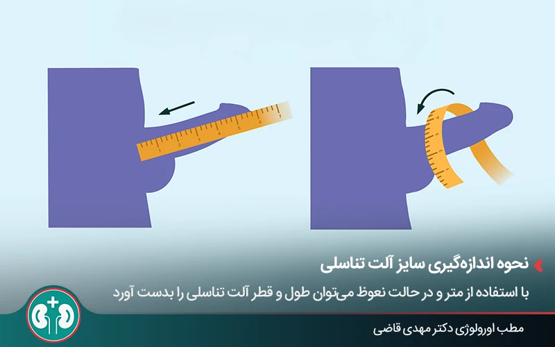 نحوه اندازه‌گیری طول و قطر آلت تناسلی