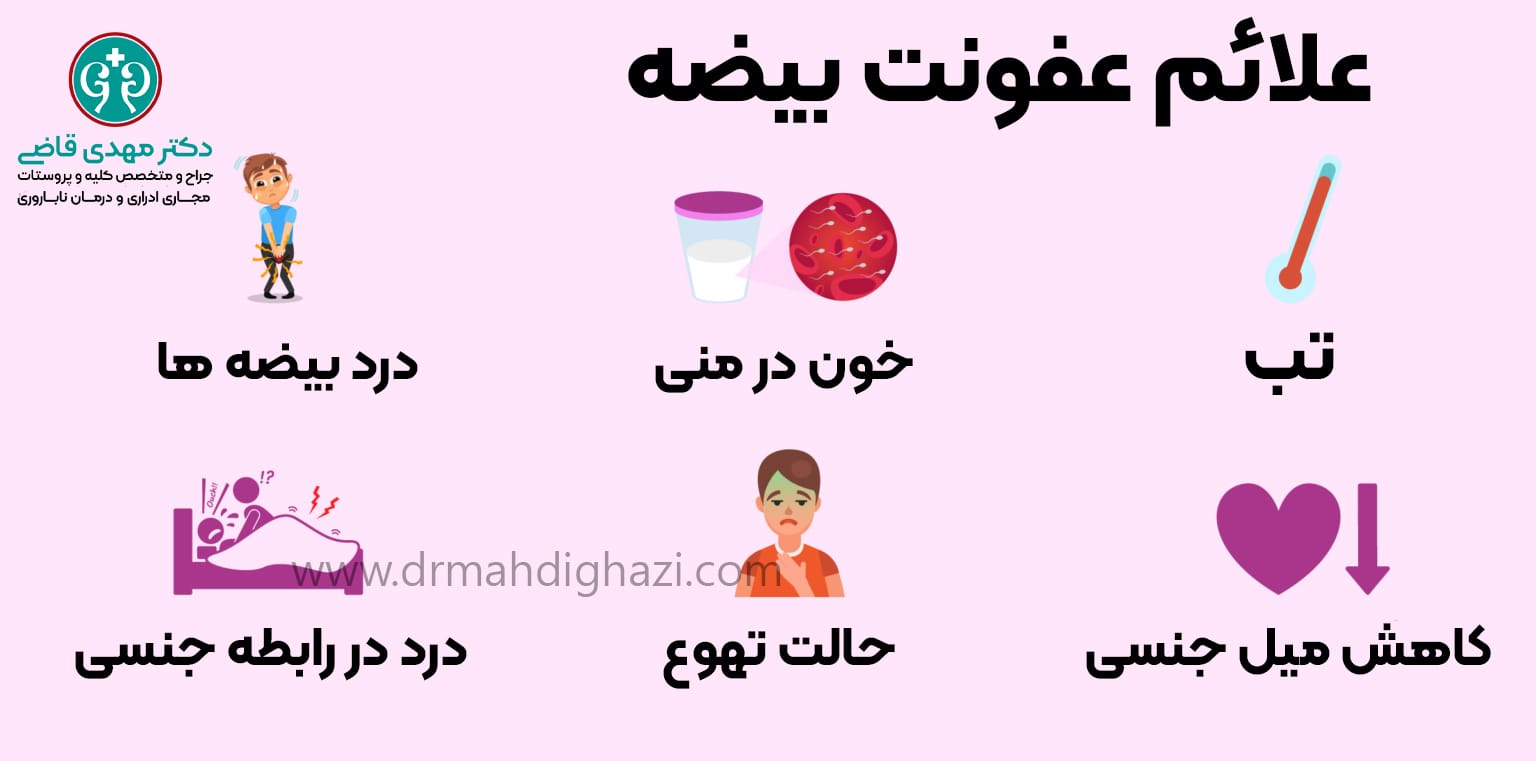 چه قرصی برای عفونت بیضه خوب است/ درمان اپیدیدیمیت