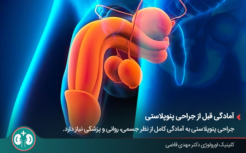What is Penoplasty 2