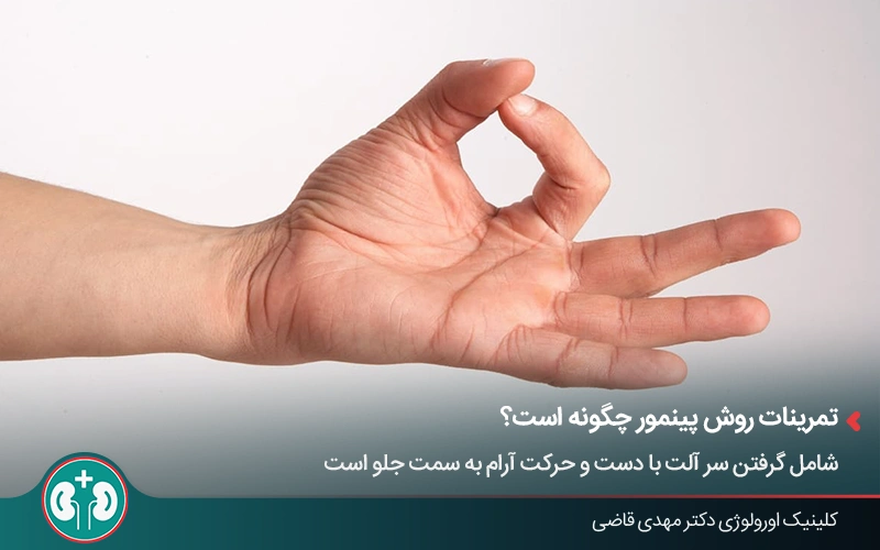 تصویر نحوه انجام تمرینات روش پنیمور برای افزایش سایز آلت تناسلی