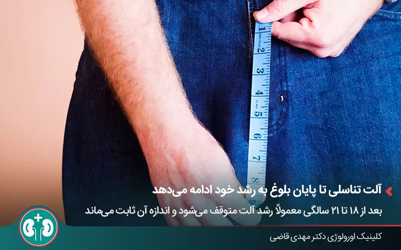 مردی در حال اندازه‌گیری سایز آلت خود با متر