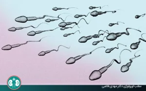 آیا زود انزالی در مردان باعث ناباروری می‌شود؟
