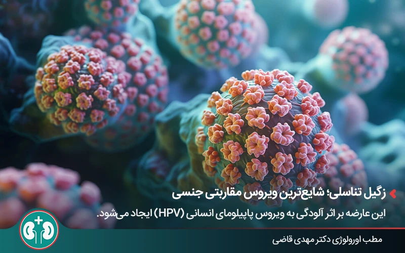 ویروس HPV و زگیل تناسلی در بارداری و تأثیر آن بر جنین