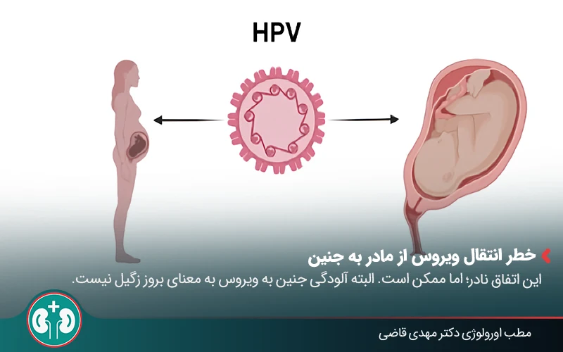 genital warts pregnancy complications n 3