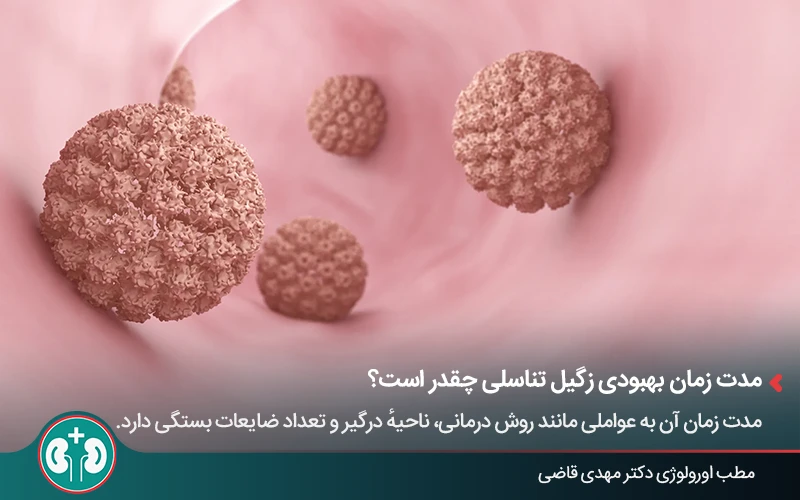 تصویری سهبعدی از ویروس HPV