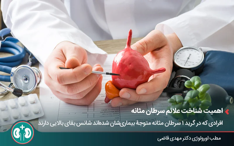تصویر یک پزشک که مولاژ (مانکن) مثانه در دست دارد