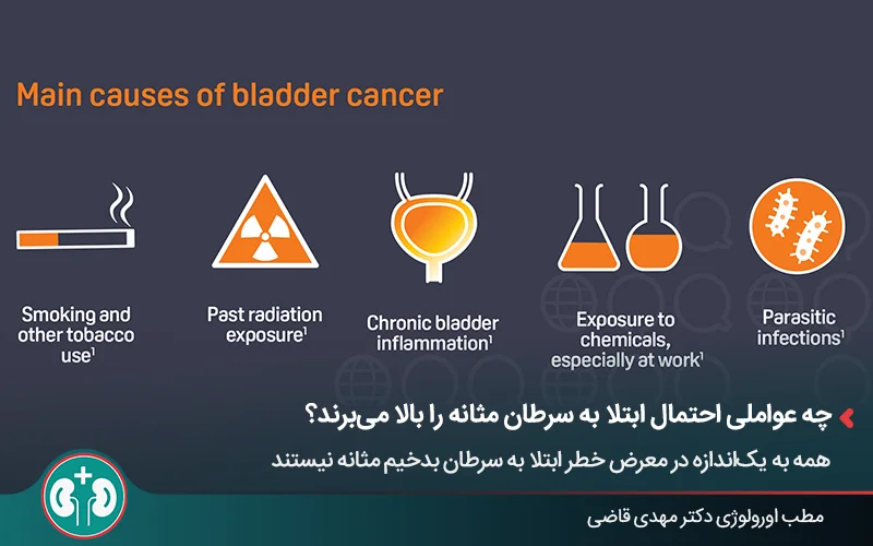 تصویر گرافیکی شامل عوامل ابتلا به سرطان شامل سیگار، پرتودرمانی، التهاب مثانه، موارد شیمیایی و عفونت مثانه.