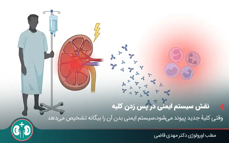 kidney transplant rejection symptoms 02