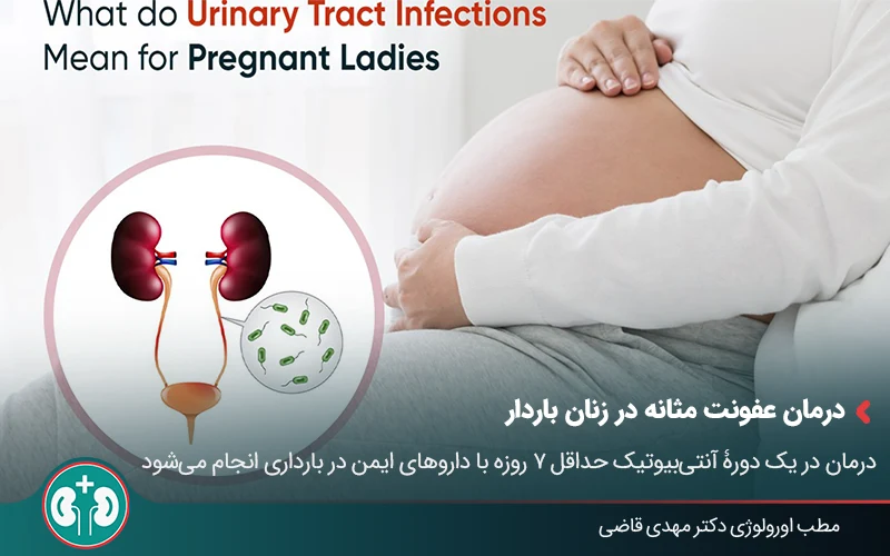 تصویر زنی باردار در کنار تصویر شماتیک باکتری در دستگاه ادراری