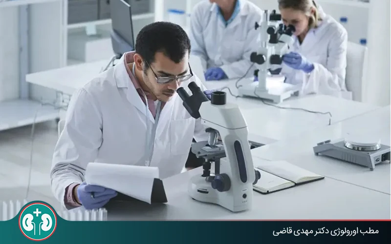 bladder cancer pathology