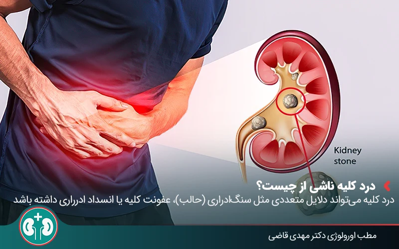 herbal remedies kidney pain 01