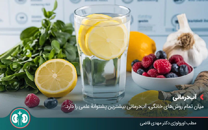 herbal remedies kidney pain 02