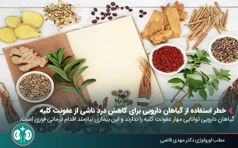 herbal remedies kidney pain 03