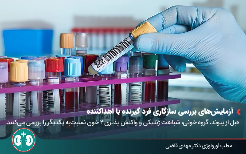 Kidney transplant 03