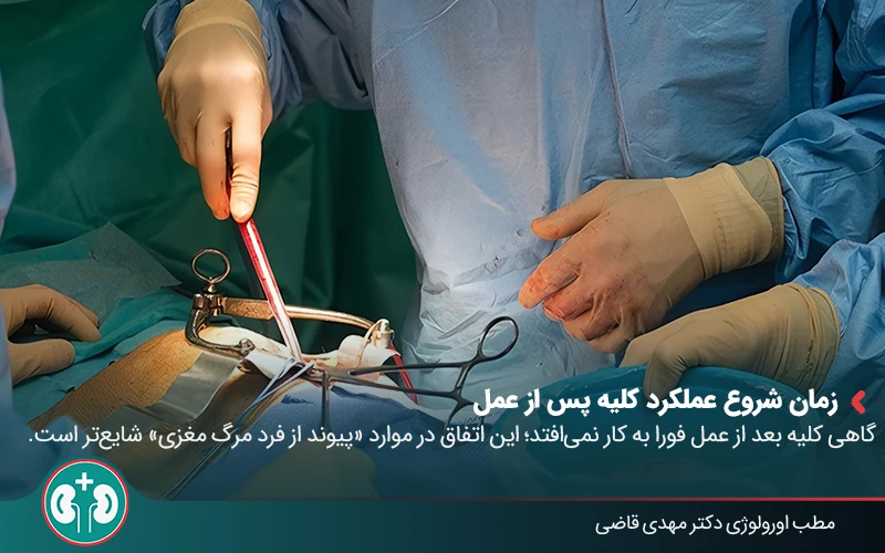 Kidney transplant 04