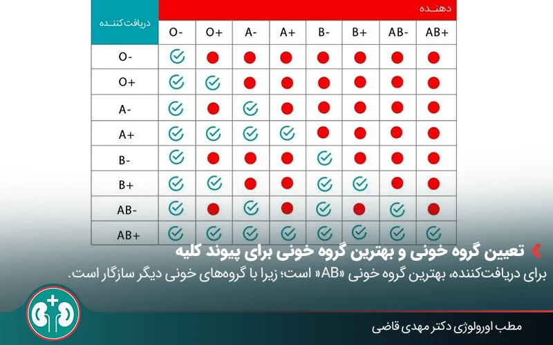evaluation kidney transplant 03