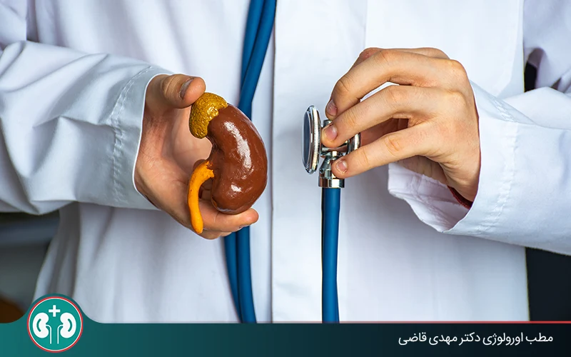 living with one kidney