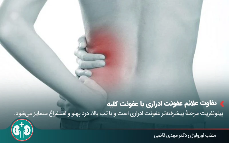 pyelonephritis 02
