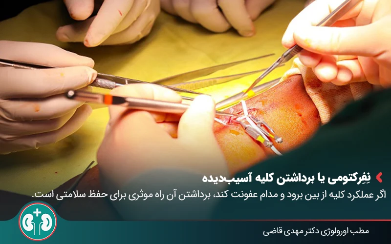 pyelonephritis 05