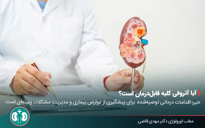 renal atrophy 09